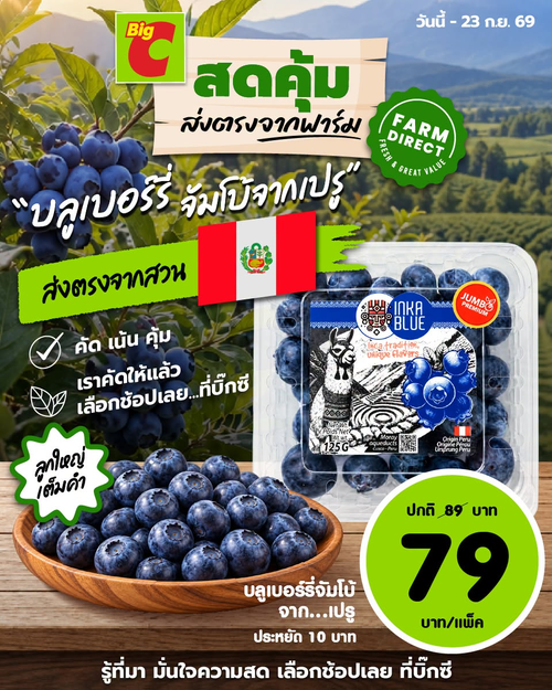 โปรโมชั่น บิ๊กซี : บลูเบอร์รี่จัมโบ้จากเปรู! ลูกใหญ่สดฉ่ำเต็มคำ สดคุ้มส่งตรงจากฟาร์มถึงบิ๊กซี