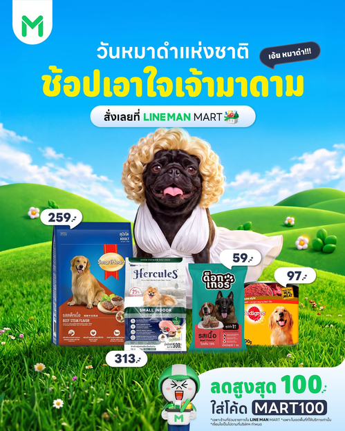โปรโมชั่น ไลน์แมน : วันหมาดำแห่งชาติ! ใส่โค้ด MART100 ลดสูงสุด 100 บาท ที่ LINE MAN MART