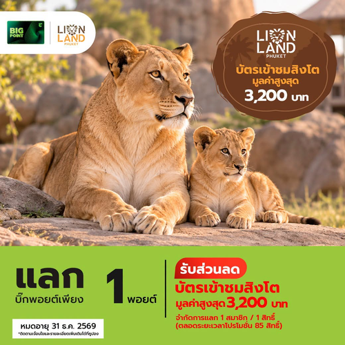 โปรโมชั่น บิ๊กซี : พอยต์เดียวชมสิงโต! Lion Land Phuket ลดสูงสุด 3,200.-