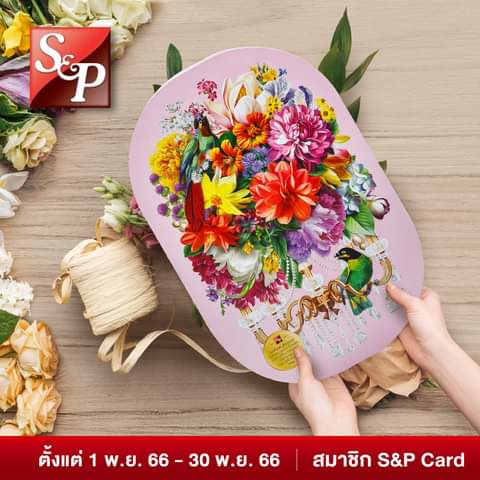 โปรโมชั่น เอส แอนด์ พี : S&P Season
